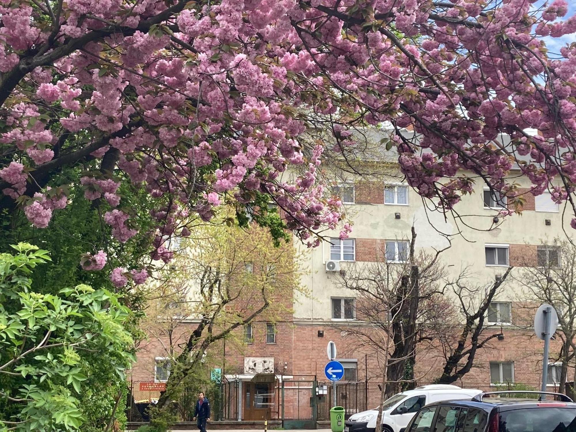 Poppy Flower Apartment Budapest Esterno foto